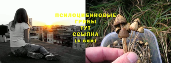 бошки Медногорск